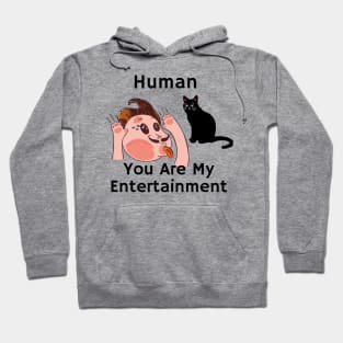 black cat- sarcastic phrase human you are my entertainment Hoodie